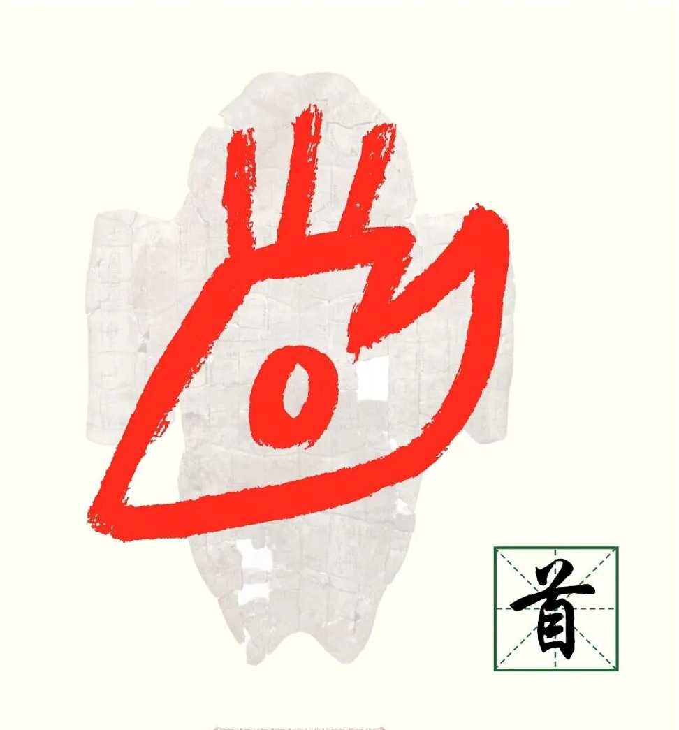 了不起的甲骨文丨“自”字本来是指鼻子，“目”字演化为“臣”字……发现“五官”汉字中的生动故事